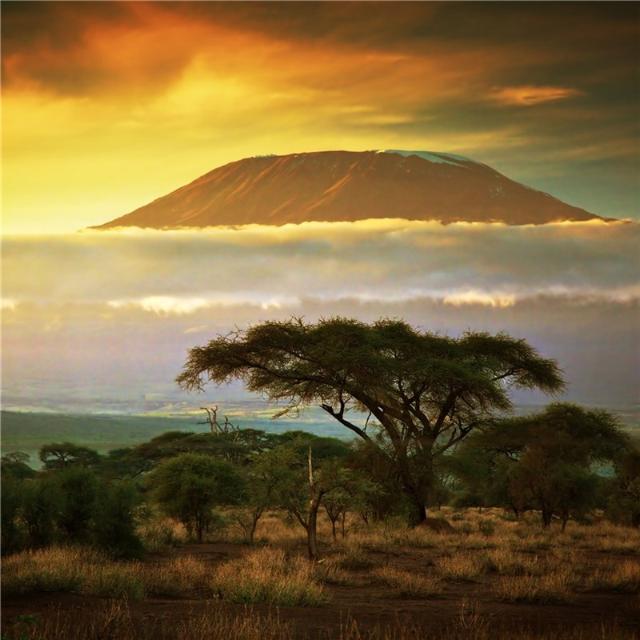 Mountain Kenya AA Hele Bønner