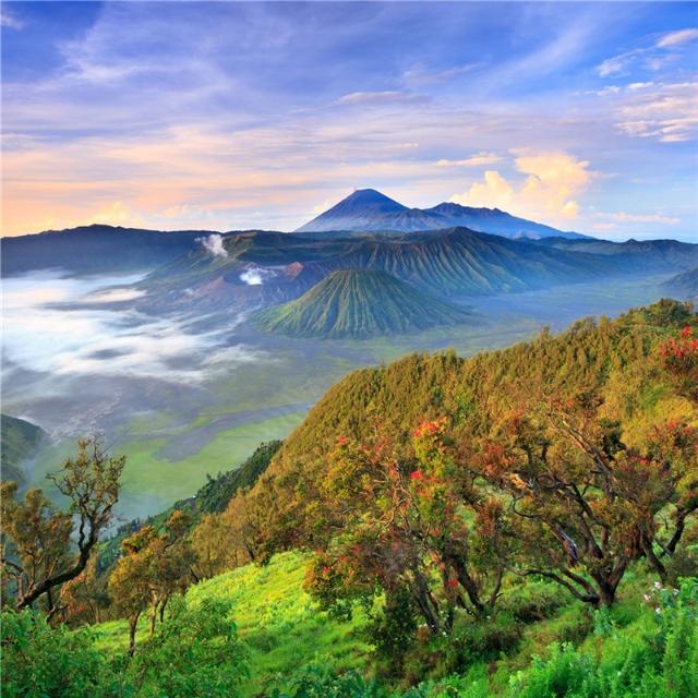 Mountain Java Mocca Hele Bønner
