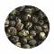 China Jasmin silvery pearl 