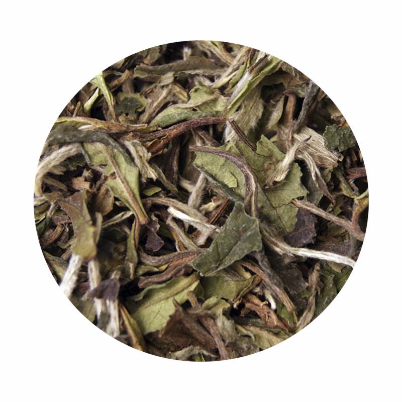 China Pai Mu Tan Std. 6900