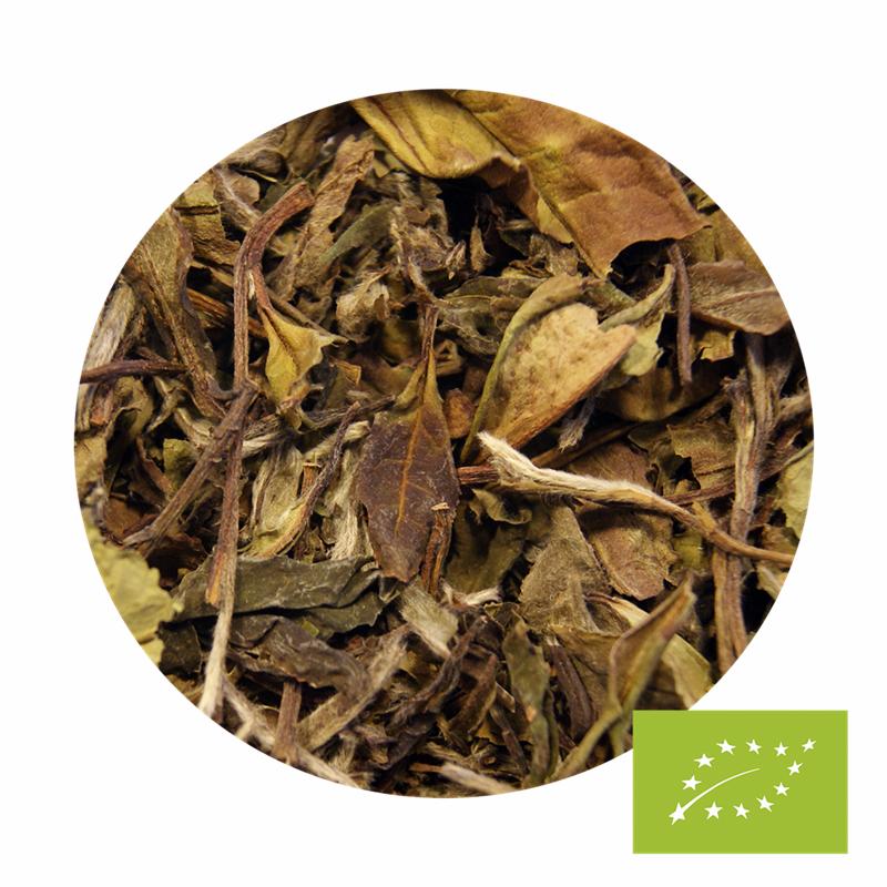 China Pai Mu Tan 6901, økologisk