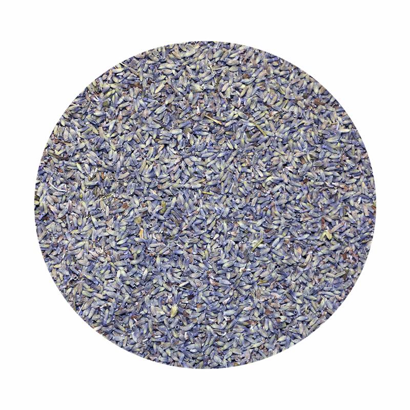 Blå lavendel 